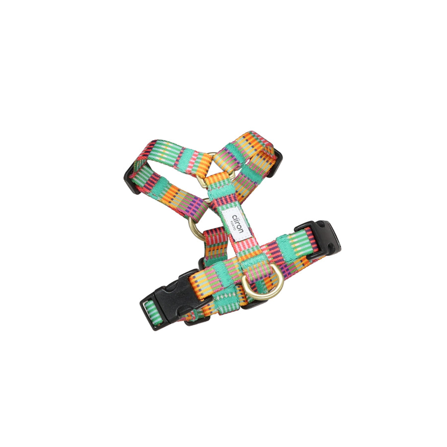 ハーネス AMY 再入荷！ 2026.02.05 – ciiron tokyo