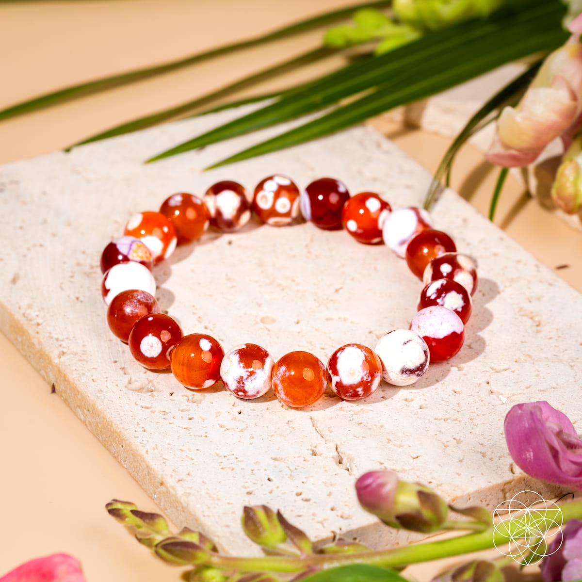 Feminine Force – Carnelian Orca Agate Bracelet – Conscious Items