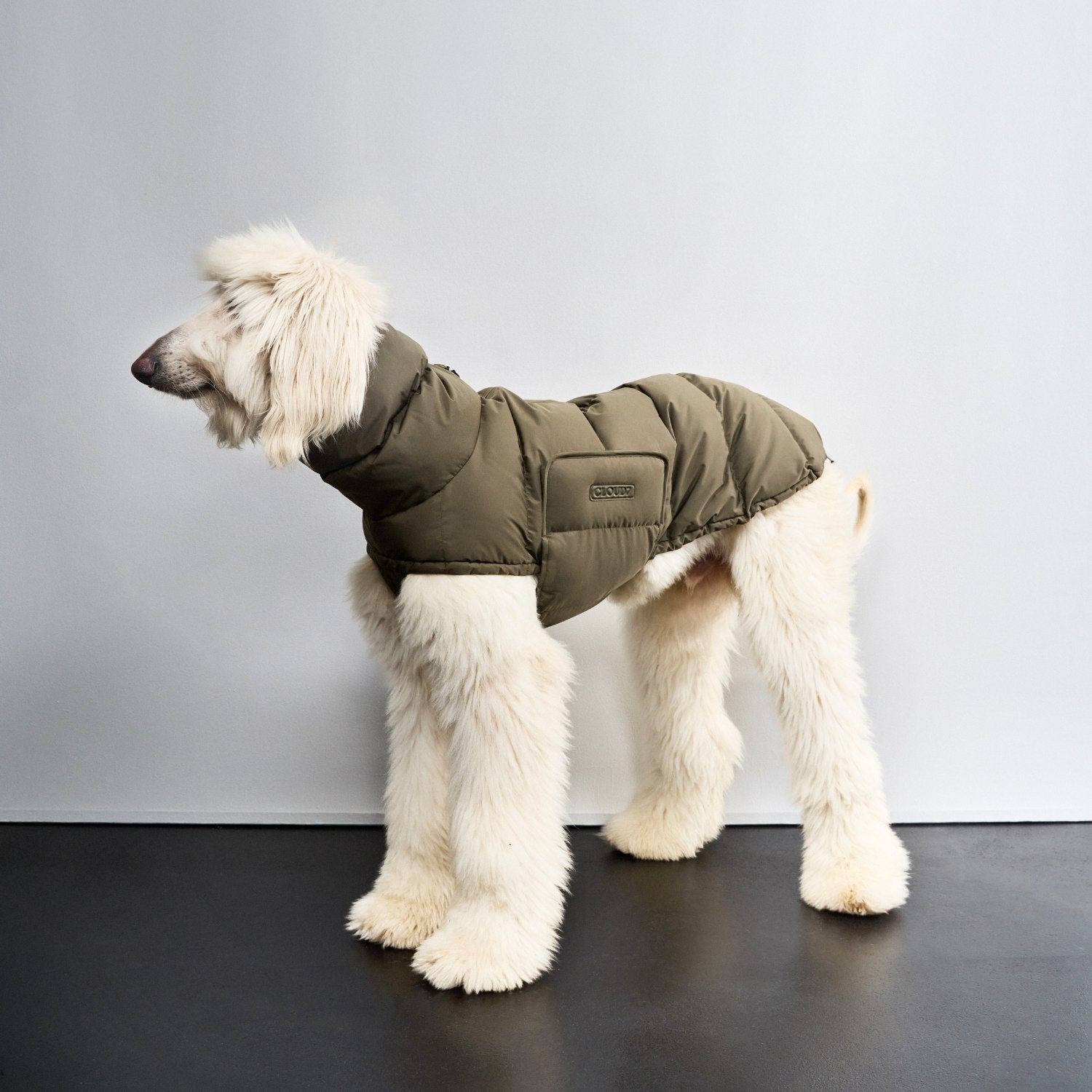 Sighthound Dog Coat Alaska | CLOUD7