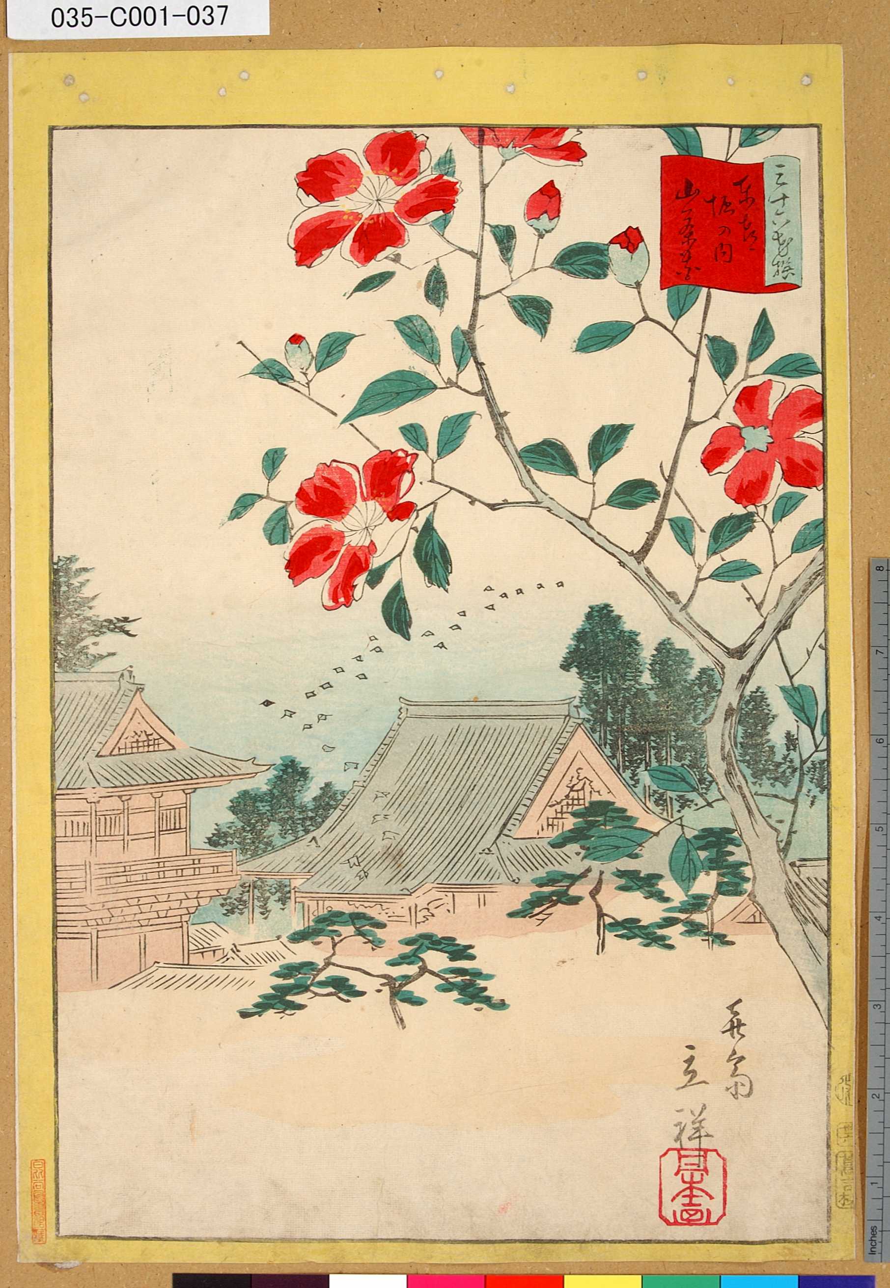 二歌川広重による浮世絵「「三十六花撰」 「東都堀の内山茶花」「卅六」」