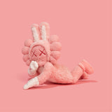 KAWS ACCOMPLICE PLUSH – DDTStore