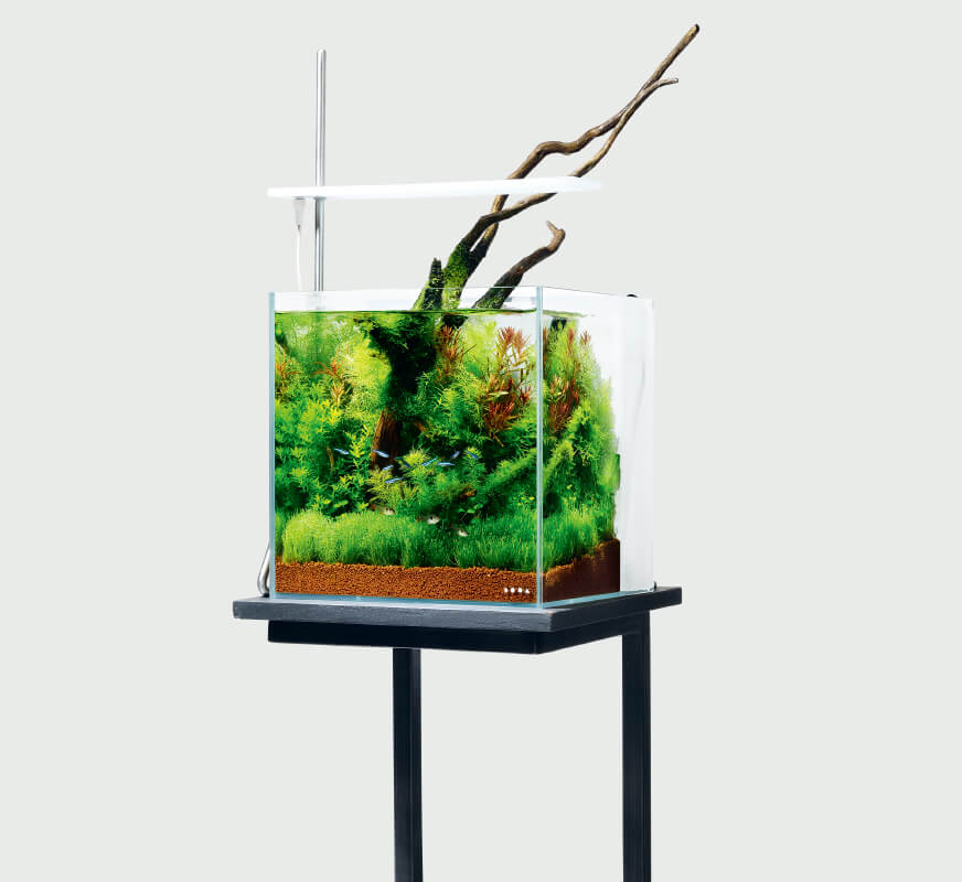 ADA アクアリウム フルセット DOOA