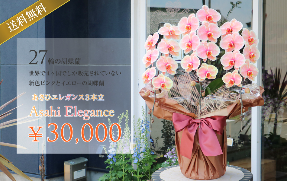 ✨ビンテージ激レア✨ 希少 開閉式 珠暖簾 ロング 欅カラー