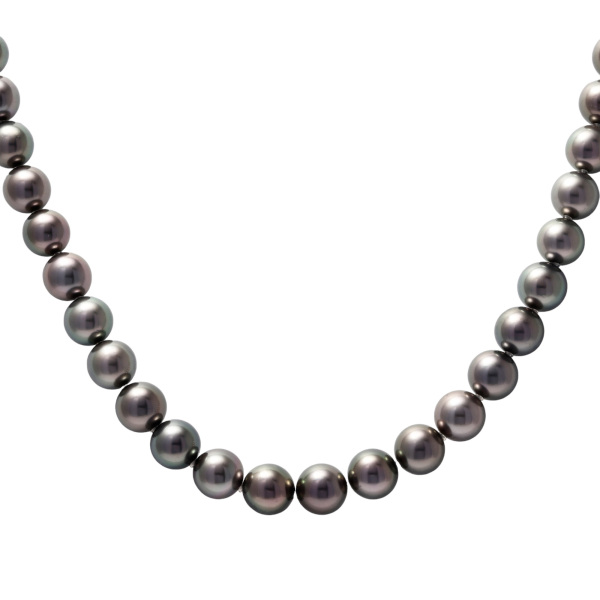 パール 高級ジュエリーの通販・販売 - ゆきざき