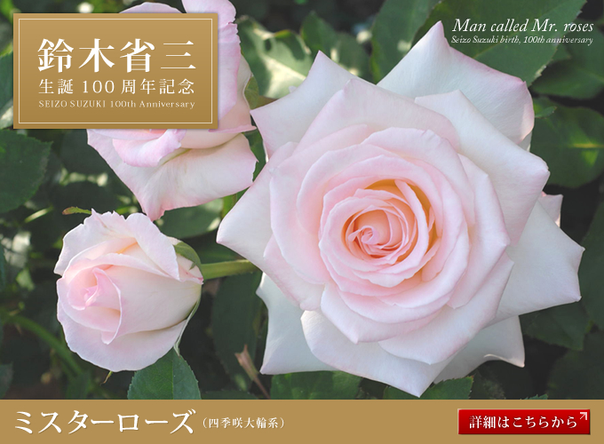 鴨居玲 花 バラ 薔薇 鑑定書なし 鴨居玲 花 バラ 薔薇 鑑定書なし 鴨居