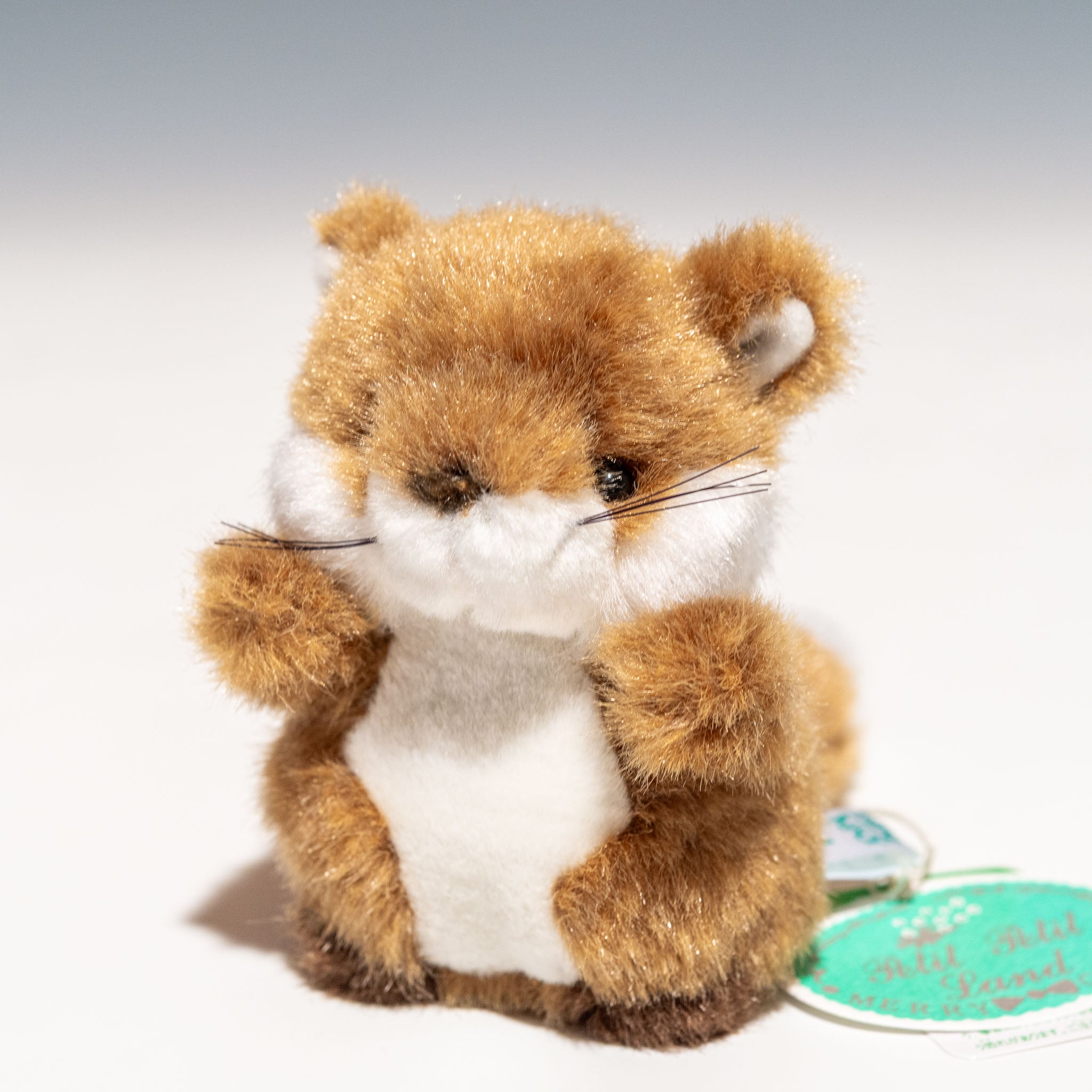 たけのこ TAKENOKO ぬいぐるみ プチプチらんど 森のなかま キツネ