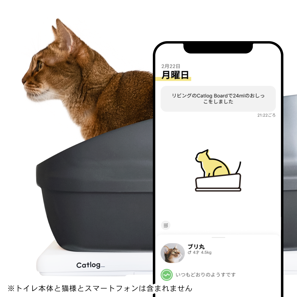 レンタル] Catlog Board(キャトログボード) ボード型IoTデバイス