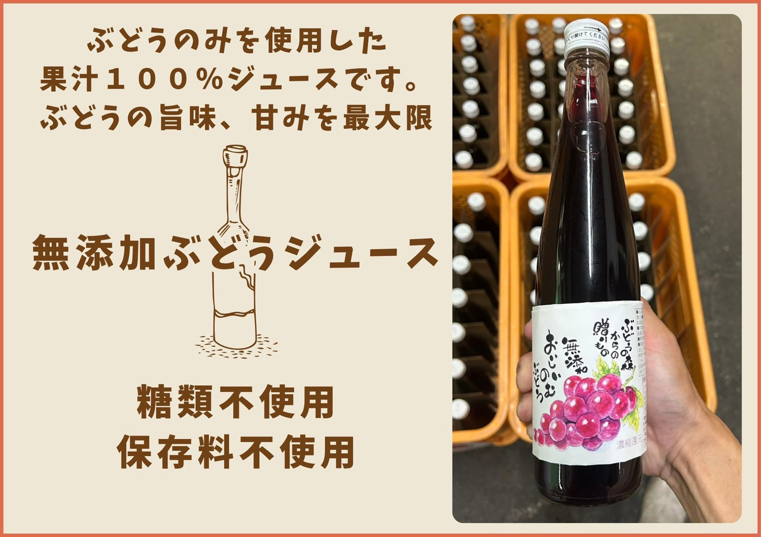 長崎 ぶどう狩り ぶどうの森 (森巨峰園) ｜ 【公式】オフィシャルサイト