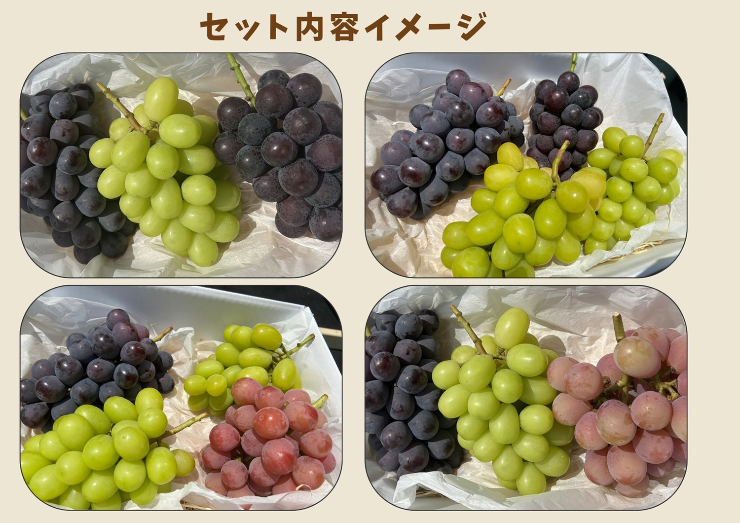 長崎 ぶどう狩り ぶどうの森 (森巨峰園) ｜ 【公式】オフィシャルサイト