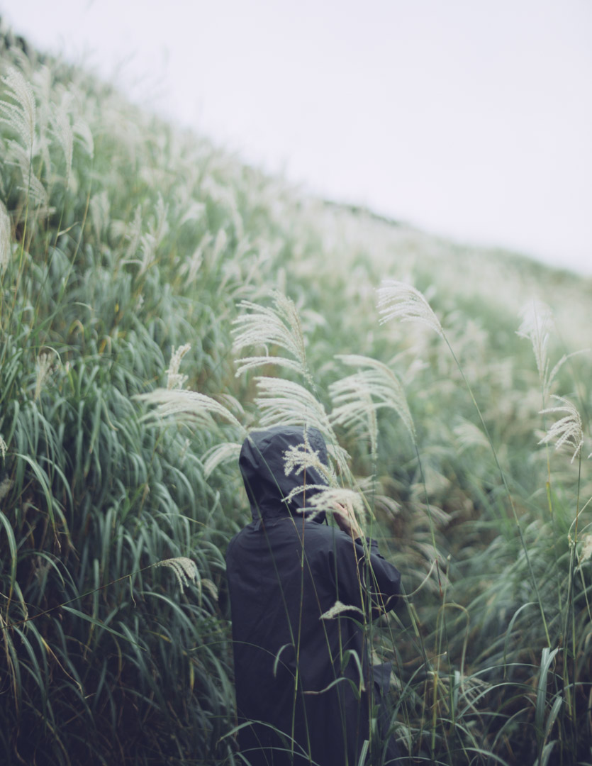 THE POST NOCTILUX - 中一光学 SPEEDMASTER 50mm / f0.95 III - FOTONE