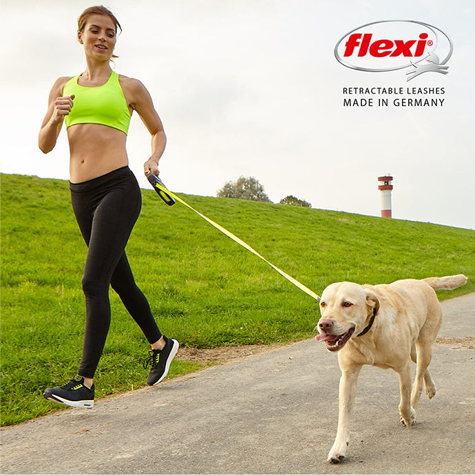 ジャイアント プロフェッショナル 大型犬用 テープタイプ 10m イエロー