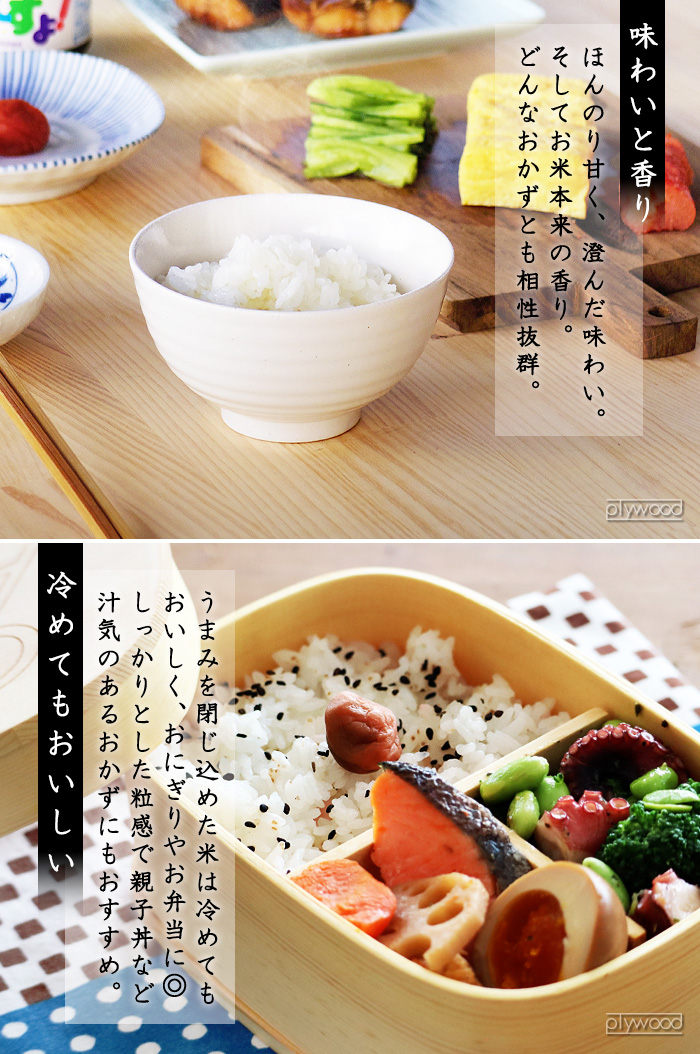 バルミューダ ザ・ゴハン BALMUDA The Gohan K08A [2022年モデル