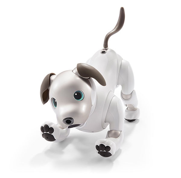 10年ぶりに犬型ロボット『aibo（アイボ）』が復活！ – grape [グレイプ]