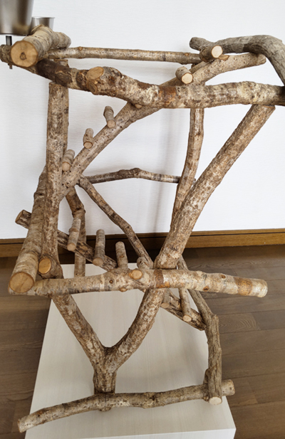 バードジムno502 鳥さんのストレス解消に