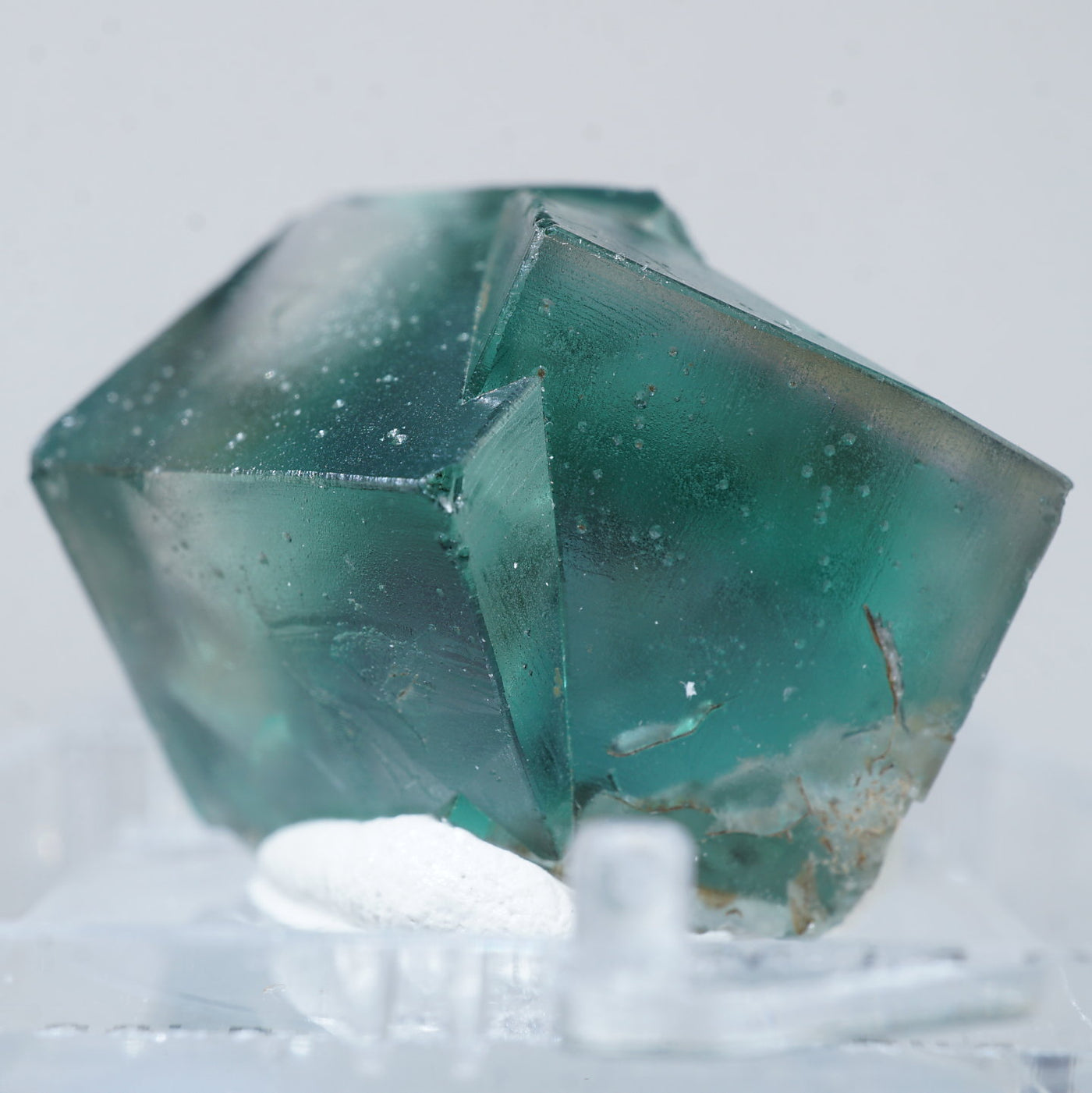 希少イギリスダービーシェア（Derbyshire）フローライト