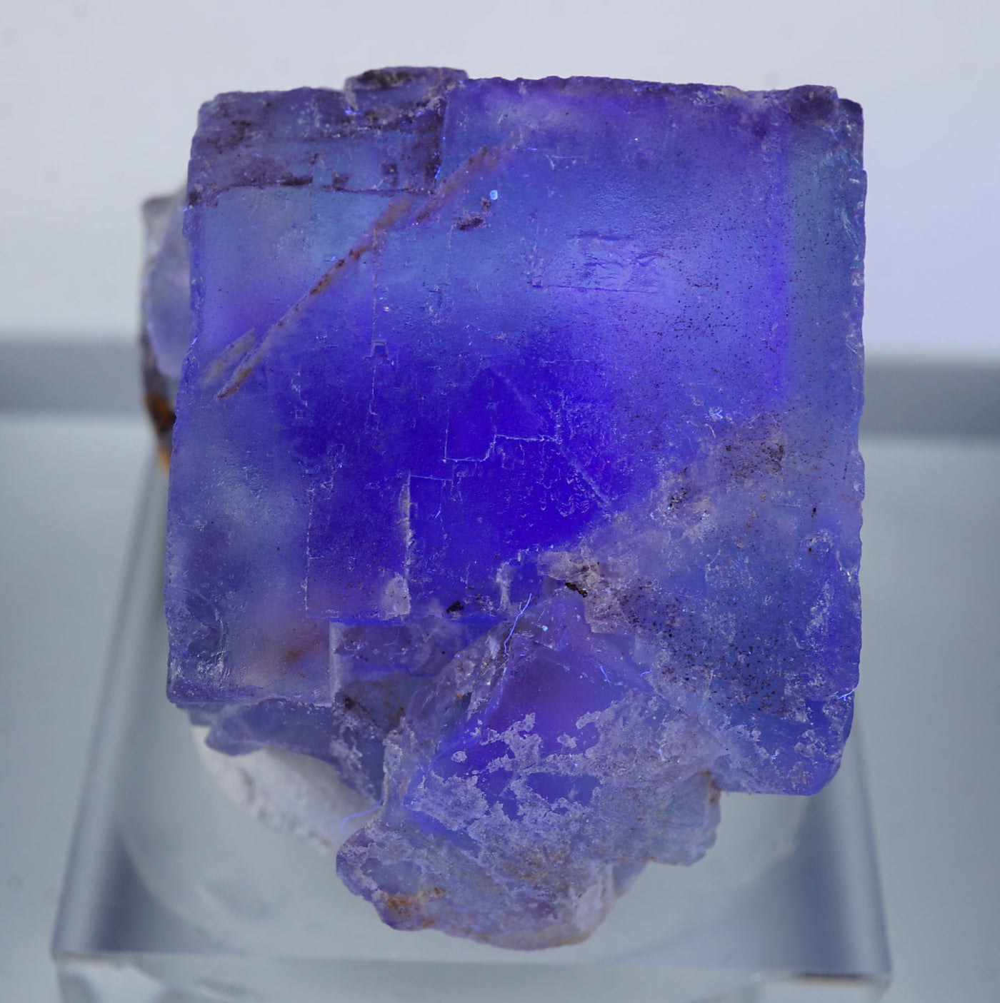 ドイツ ブラックフォレスト産 フローライト – 天然石ハッピーギフト