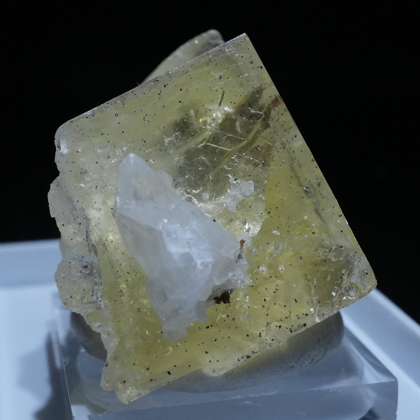 イギリス Wet Grooves Mine フローライト – 天然石ハッピーギフト