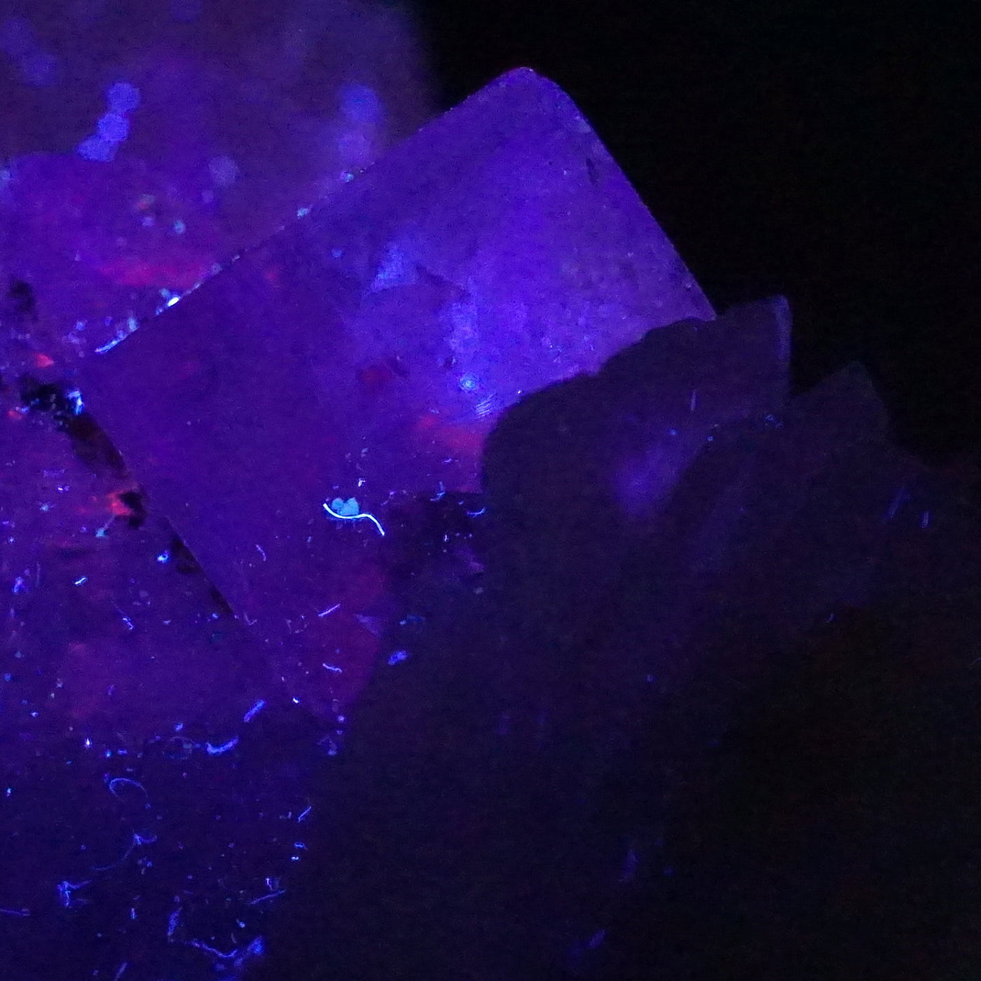 おまとめ作成中！スペイン アストゥリアス産 パープル フローライト