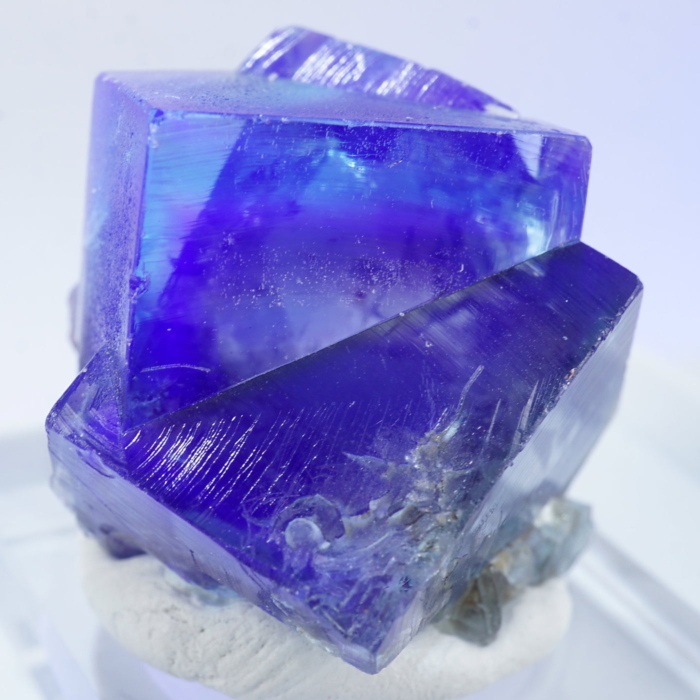 140 UK レディアナベラ Purple Rain Pocket フローライト 140 UK