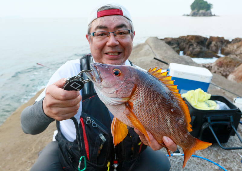 電気ウキでねらうフエダイ釣りのツボ教えます！ 基本は磯際から仕掛を