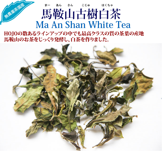 馬鞍山古樹白茶 お茶の専門店HOJO