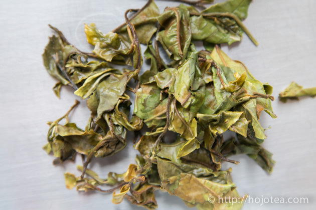 馬鞍山古樹白茶 お茶の専門店HOJO
