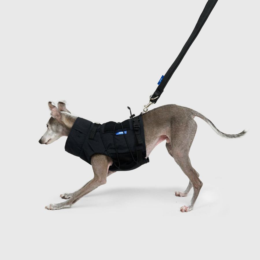 FRAME-X ADV HARNESS | Howly | 収納ポケット付ウェアハーネス｜撥水