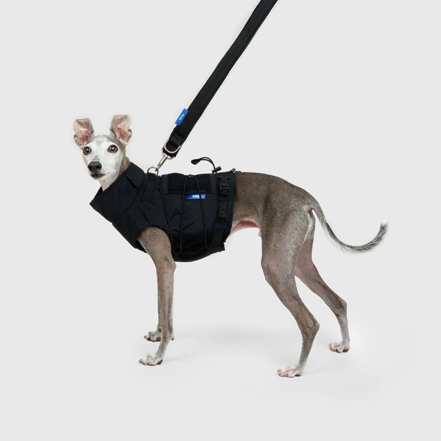 FRAME-X ADV HARNESS | Howly | 収納ポケット付ウェアハーネス｜撥水