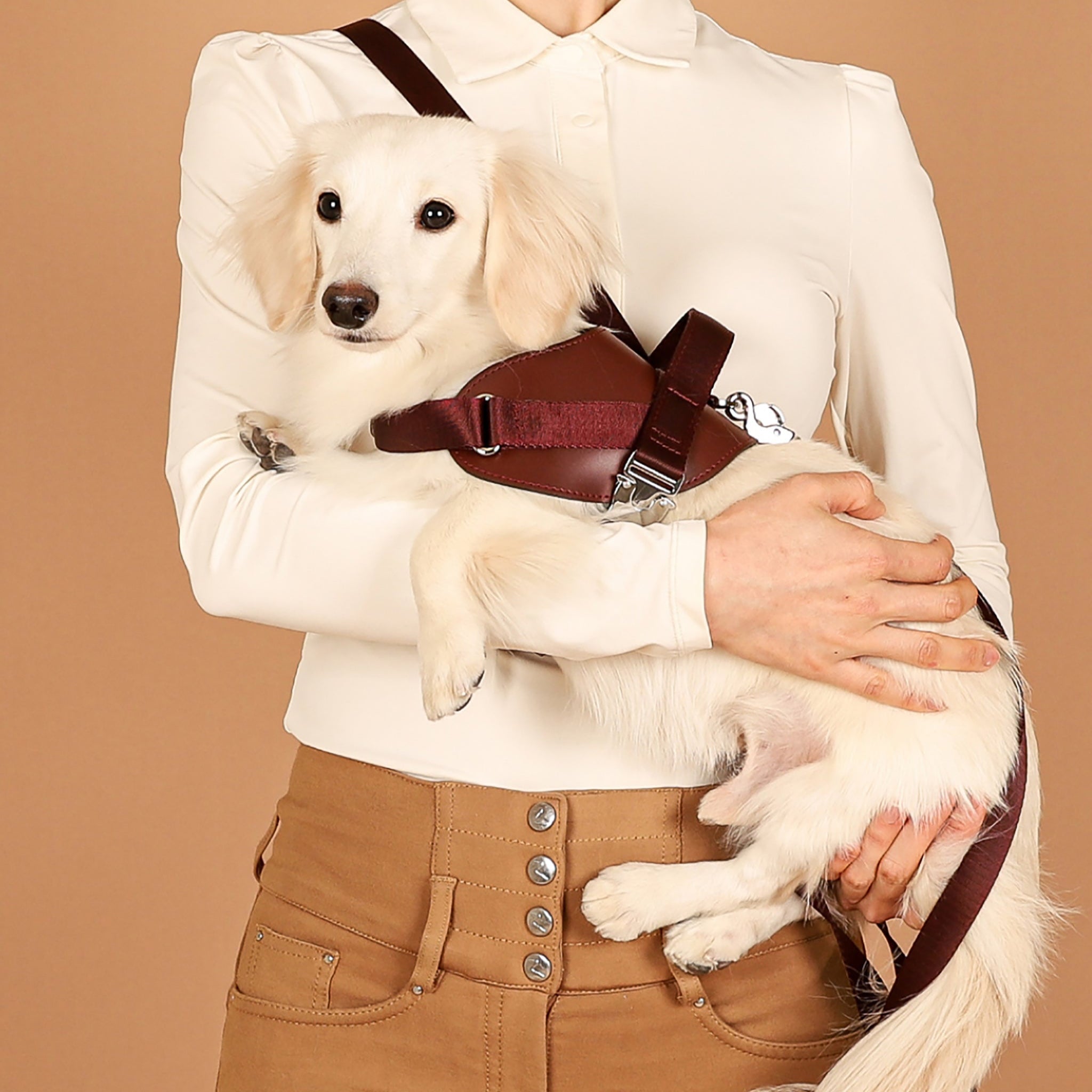 Saddle Harness : Burgundy – hozi