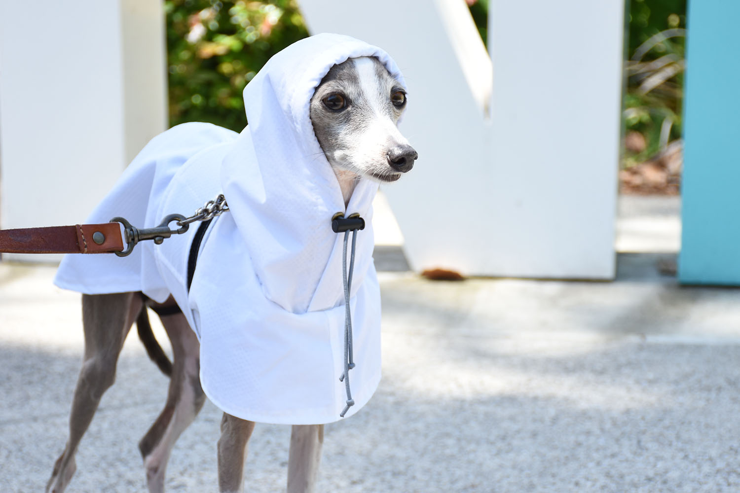 イタグレ服◇IG WORKS（アイ・ジー・ワークス）◇