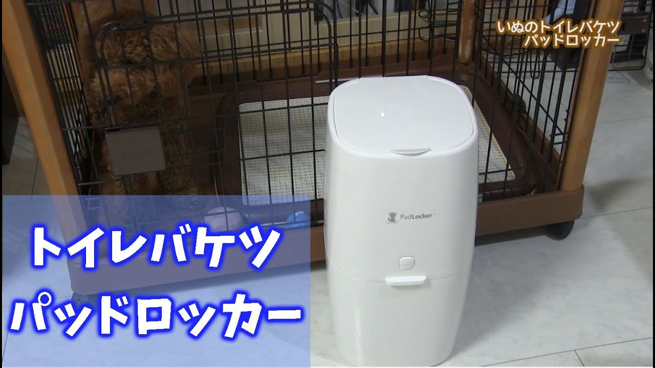 におワン！トイレシーツの処理にお困りの方へ！犬のトイレバケツ