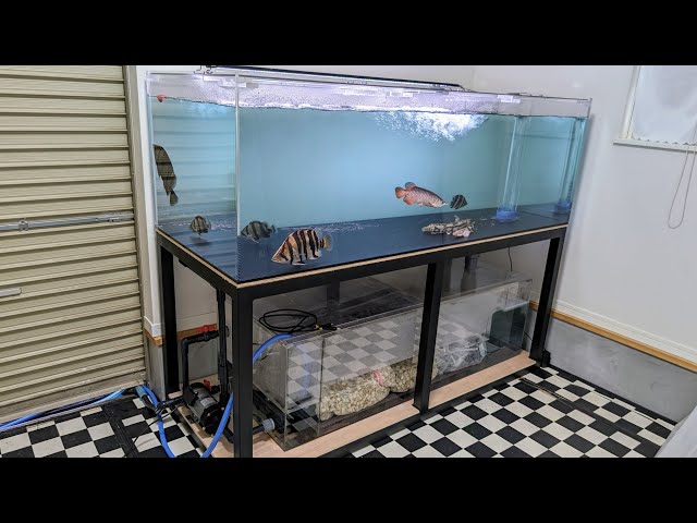 1800 水槽」の人気商品一覧 | 安い商品を通販サイトから探す - 価格.com