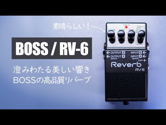 BOSS デジタルリバーブ RV-5 ROWIN LEF-312 フランジャー BOSS