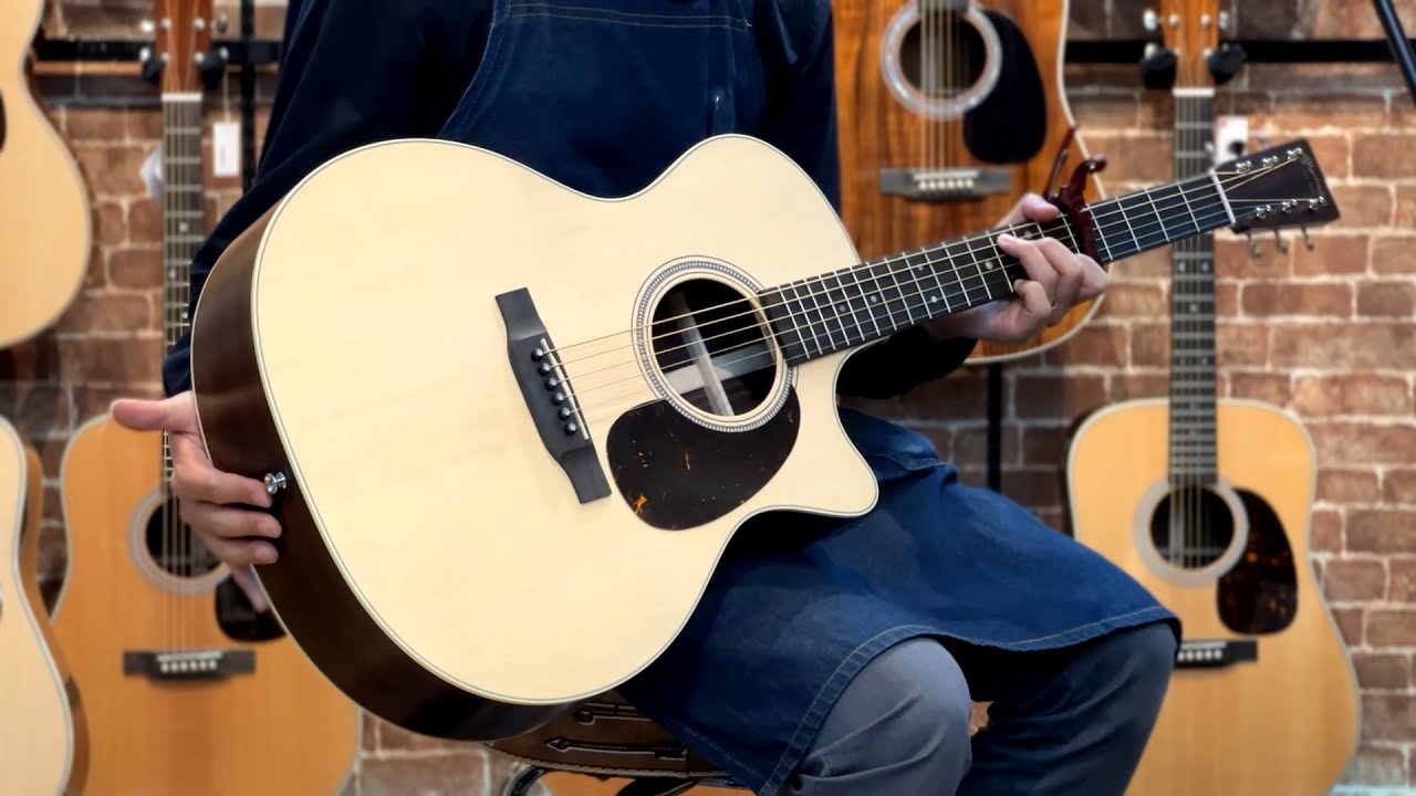 Martin GPC-16E-01 Rosewood w/Fishman Matrix VT Enhance #2954986