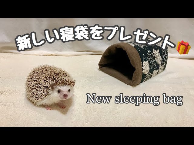 ハリネズミ寝袋 デニム ハリネズミ寝袋 デニムお布団 【公式通販】