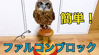 フクロウ飼育者便利アイテム🦉ファルコンブロックの作り方🛠 Owl