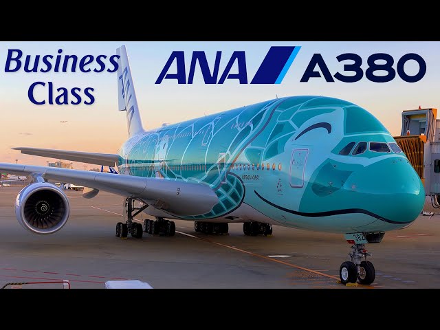 BUSINESS - ANA Airbus A380 ! 🇯🇵 Tokyo - Honolulu, Hawaii