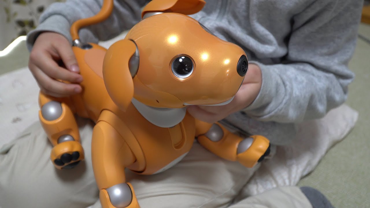 aibo キャラメル くまさん専用 aibo キャラメル くまさん専用 aibo