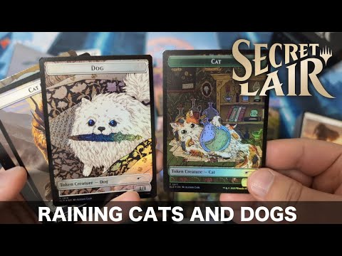 MTG】猫と犬だらけ！Secret Lair: Raining Cats and Dogs開封