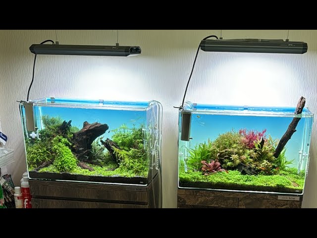 Two dream Superior tanks side by side! This is the ultimate