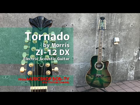 Tornado by Morris ZI-12 DX【商品紹介・メンテナンス記録】12弦
