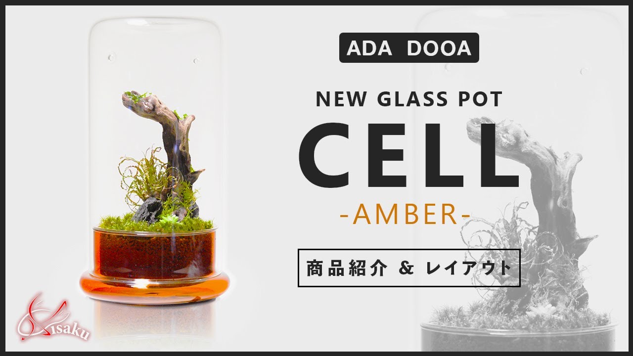 ADA DOOA New Product] Glass Pot 