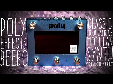最終値下げ]Poly Effects Beeboマルチモジュラーエフェクター 最終