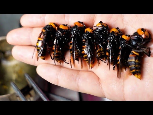 蜂さん3 様 蜂さん3 様 ハチ | リヤドロ公式オンライン