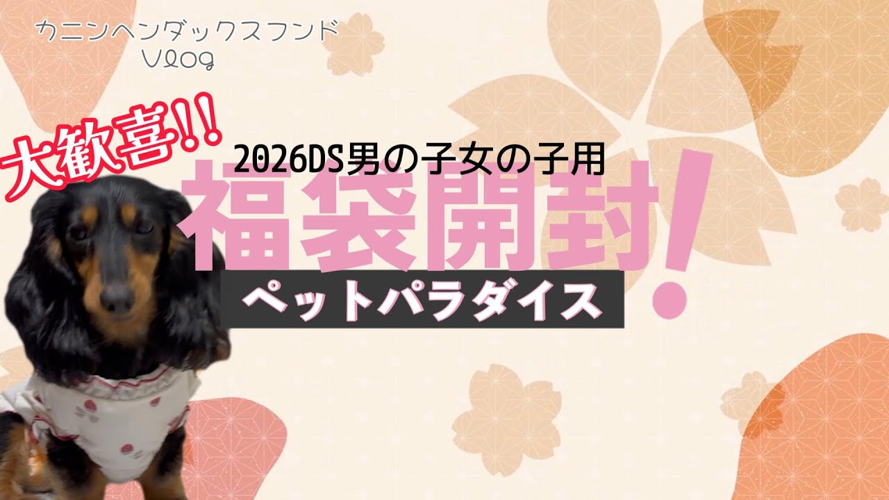 2026ペットパラダイス福袋DSサイズ男の子用女の子用開封してみました