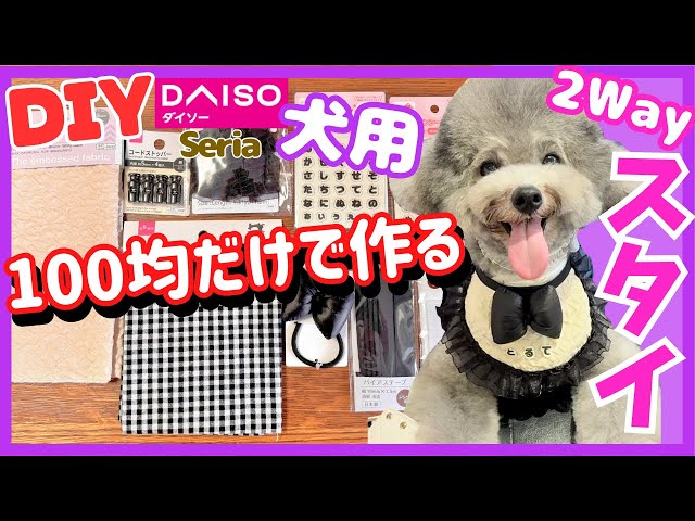 Super Easy Dog Clothes Making: How to Make a Cute Name Embroidered