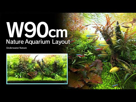 ADAアクリルフォト水中の森 Forests Underwater