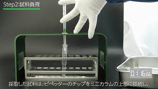 蒸気孔 GPT英語版4枚セット 蒸気孔 GPT英語版4枚セット 蒸気孔 GPT英語