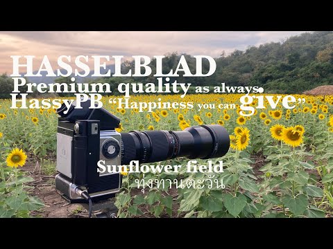 En : Thai sub I Tele Tessar CF 350mm f5.6 lens I Tele Converter