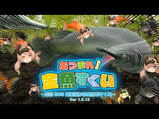 あつまれ！金魚すくい】金魚すくいまくっておっちゃんから出禁くらうぞ
